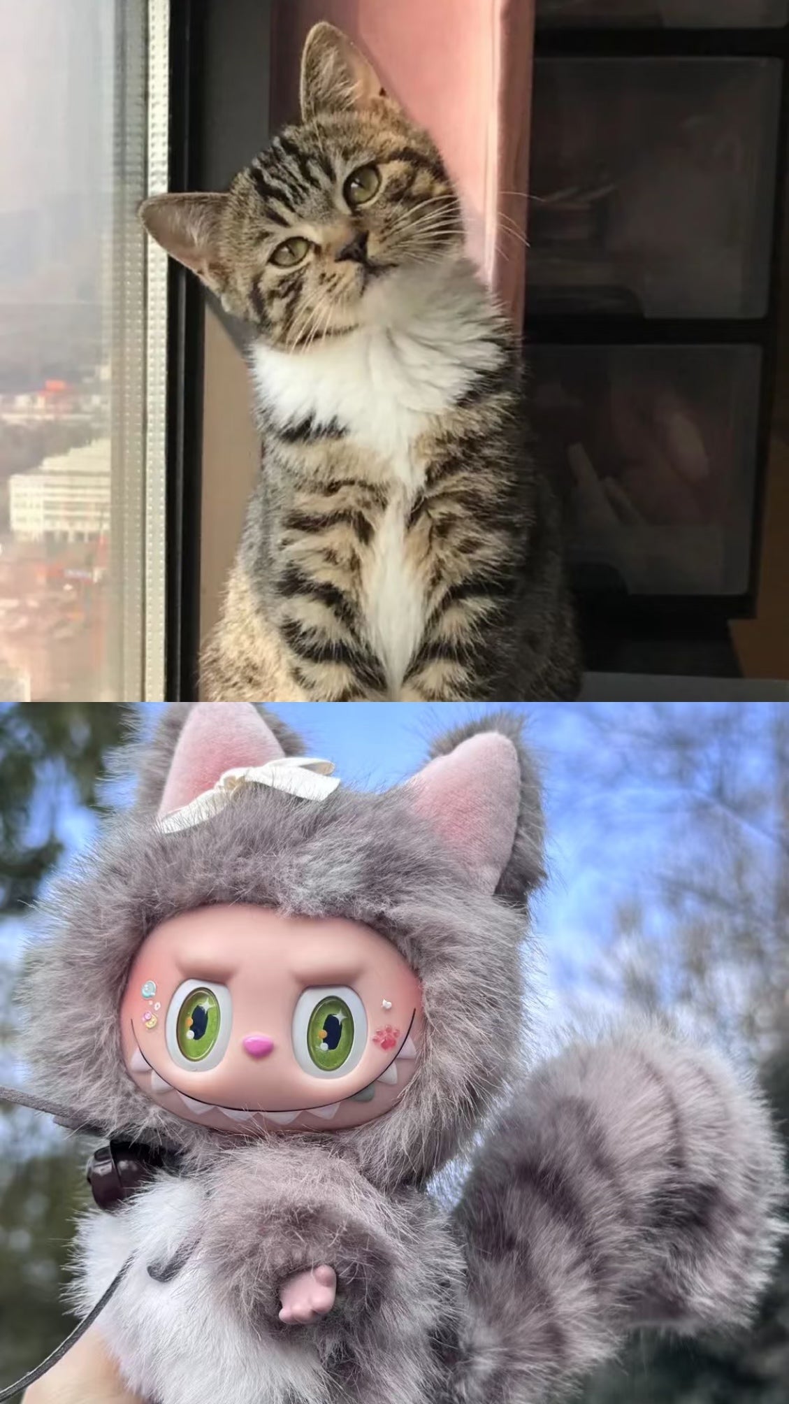 DIY Customization
