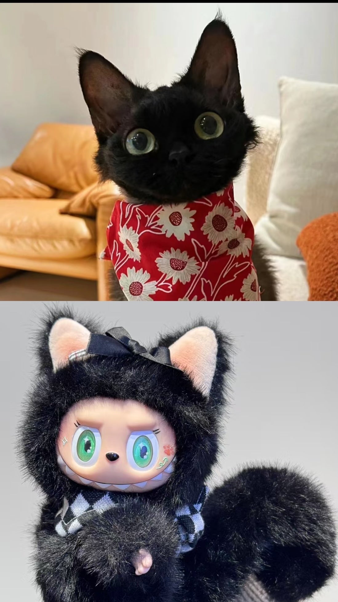 DIY Customization