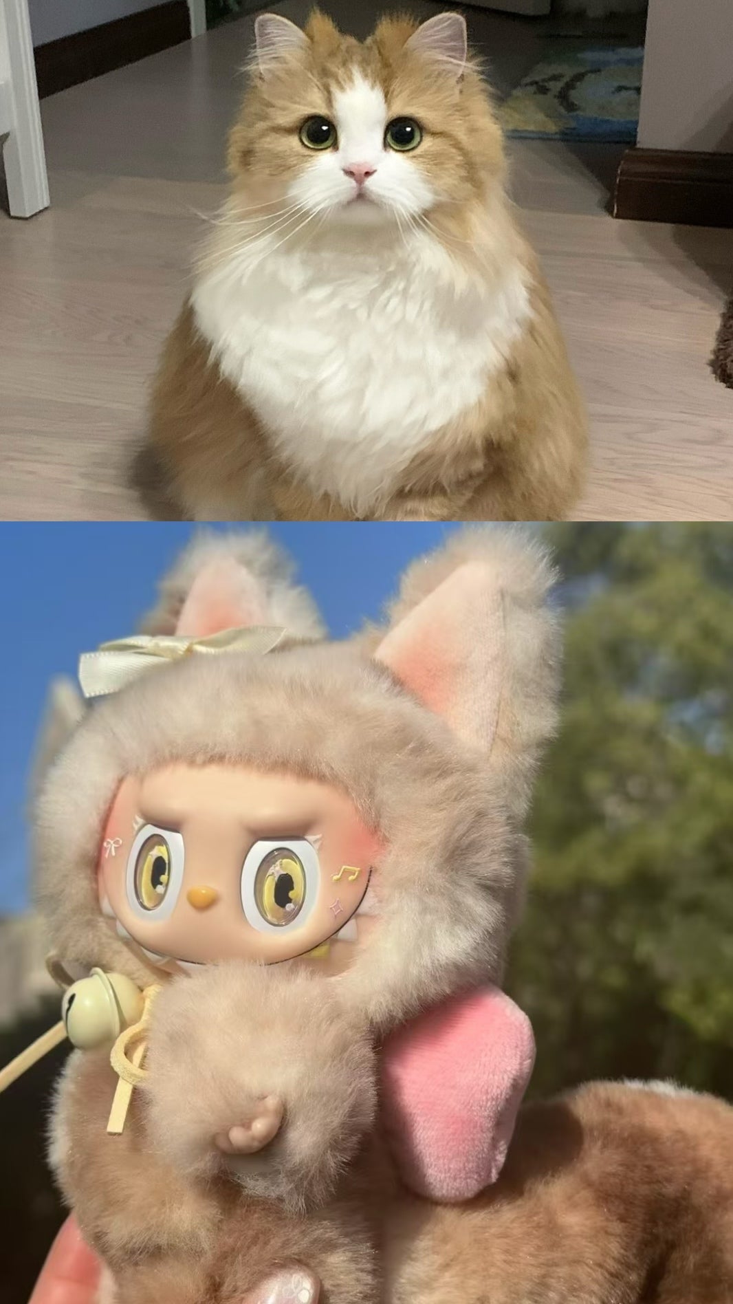 DIY Customization