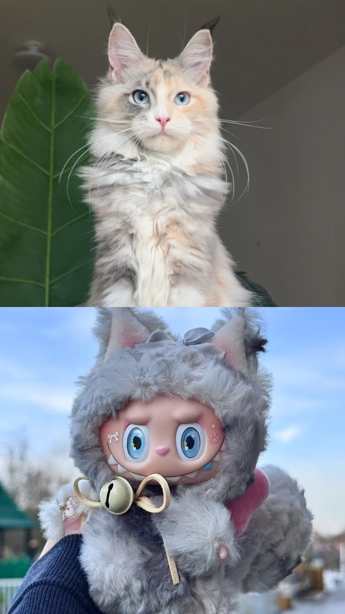 DIY Customization